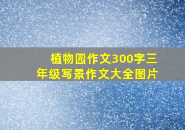 植物园作文300字三年级写景作文大全图片