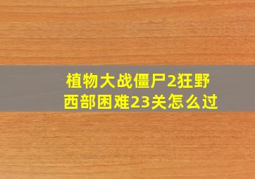 植物大战僵尸2狂野西部困难23关怎么过