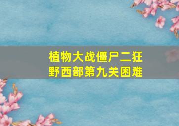 植物大战僵尸二狂野西部第九关困难