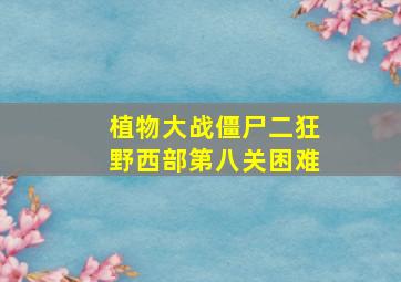 植物大战僵尸二狂野西部第八关困难