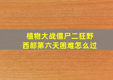 植物大战僵尸二狂野西部第六天困难怎么过