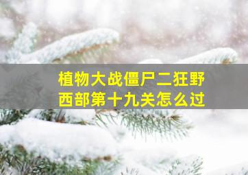 植物大战僵尸二狂野西部第十九关怎么过