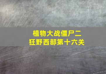 植物大战僵尸二狂野西部第十六关