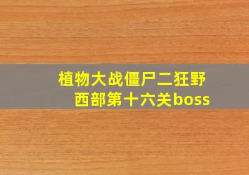 植物大战僵尸二狂野西部第十六关boss