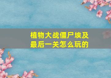 植物大战僵尸埃及最后一关怎么玩的