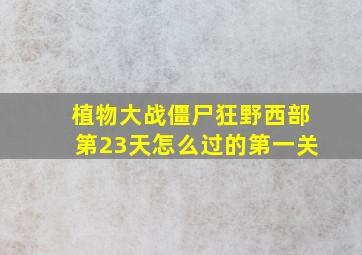 植物大战僵尸狂野西部第23天怎么过的第一关