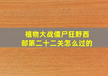 植物大战僵尸狂野西部第二十二关怎么过的