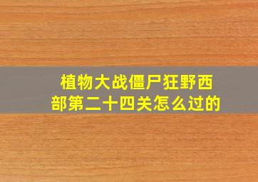 植物大战僵尸狂野西部第二十四关怎么过的