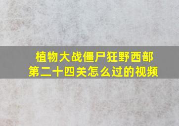 植物大战僵尸狂野西部第二十四关怎么过的视频