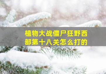 植物大战僵尸狂野西部第十八关怎么打的