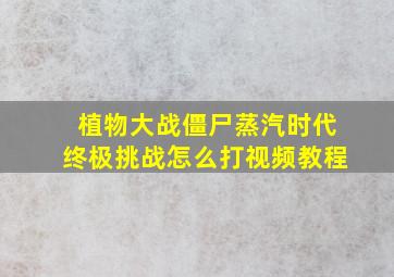 植物大战僵尸蒸汽时代终极挑战怎么打视频教程