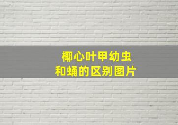 椰心叶甲幼虫和蛹的区别图片