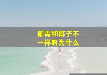 椰青和椰子不一样吗为什么