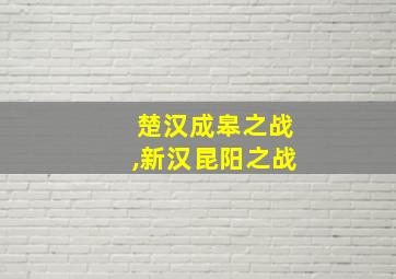 楚汉成皋之战,新汉昆阳之战