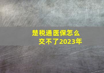 楚税通医保怎么交不了2023年