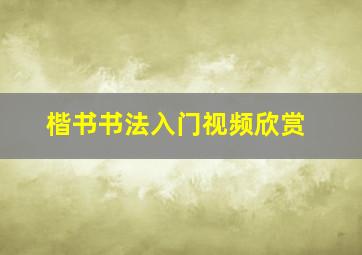 楷书书法入门视频欣赏