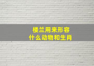 楼兰用来形容什么动物和生肖