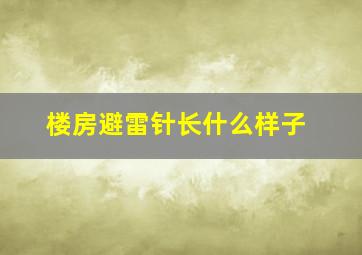 楼房避雷针长什么样子