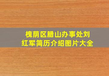 槐荫区腊山办事处刘红军简历介绍图片大全