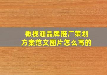 橄榄油品牌推广策划方案范文图片怎么写的