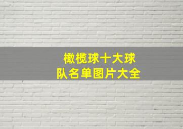 橄榄球十大球队名单图片大全