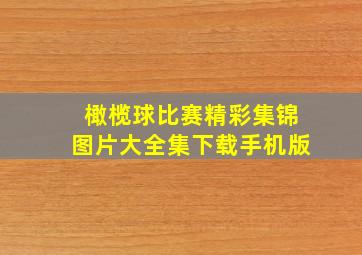 橄榄球比赛精彩集锦图片大全集下载手机版