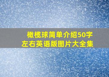 橄榄球简单介绍50字左右英语版图片大全集