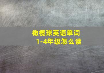 橄榄球英语单词1-4年级怎么读