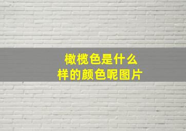 橄榄色是什么样的颜色呢图片