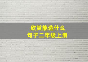 欣赏能造什么句子二年级上册