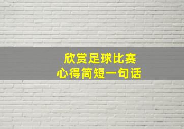 欣赏足球比赛心得简短一句话