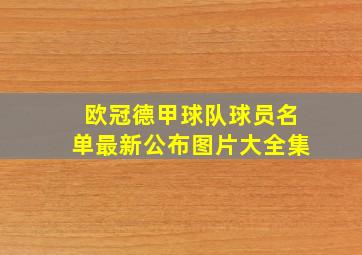 欧冠德甲球队球员名单最新公布图片大全集