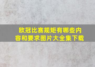 欧冠比赛规矩有哪些内容和要求图片大全集下载