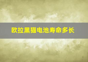 欧拉黑猫电池寿命多长