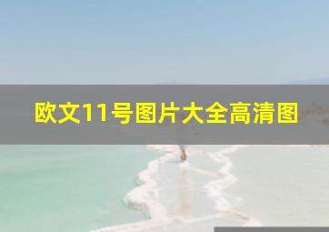 欧文11号图片大全高清图