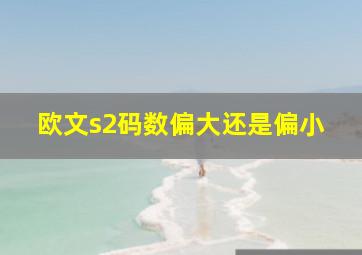 欧文s2码数偏大还是偏小