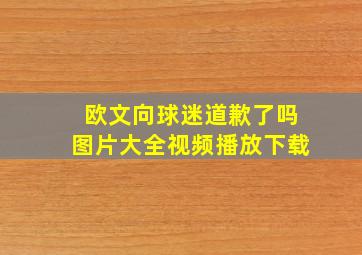 欧文向球迷道歉了吗图片大全视频播放下载