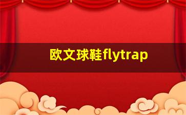 欧文球鞋flytrap