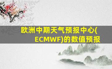 欧洲中期天气预报中心(ECMWF)的数值预报