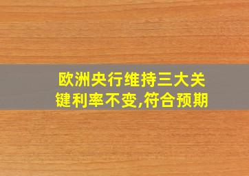 欧洲央行维持三大关键利率不变,符合预期