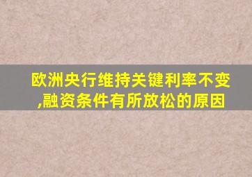 欧洲央行维持关键利率不变,融资条件有所放松的原因