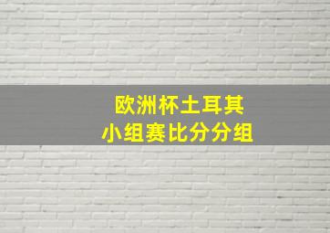 欧洲杯土耳其小组赛比分分组