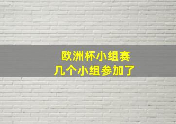 欧洲杯小组赛几个小组参加了