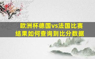 欧洲杯德国vs法国比赛结果如何查询到比分数据