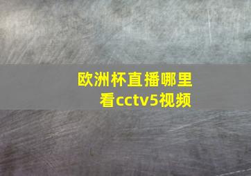 欧洲杯直播哪里看cctv5视频