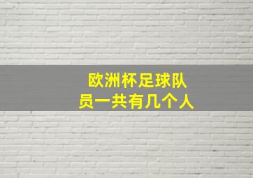 欧洲杯足球队员一共有几个人