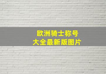 欧洲骑士称号大全最新版图片