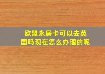 欧盟永居卡可以去英国吗现在怎么办理的呢