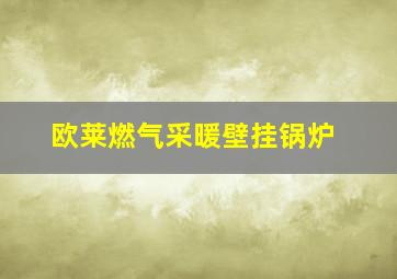 欧莱燃气采暖壁挂锅炉