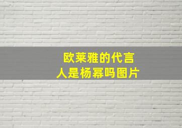 欧莱雅的代言人是杨幂吗图片